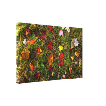 Autumn forest floor canvas prints