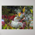 Autumn Forest Floor Posters