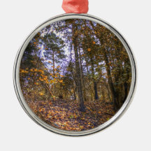 Autumn Forest HDR Ornaments