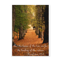 Autumn Forest Post Card