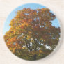 Autumn Garden, St.Petersburg Russia Coaster