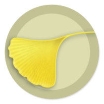 Autumn Ginkgo Leaf Round Sticker