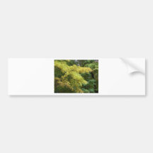 autumn gold bumper stickers