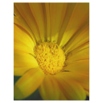 Autumn Gold Full Color Flyer