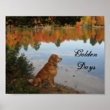 Autumn Gold Poster