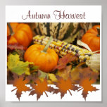 Autumn Harvest Portfolio up to 11x11 Posters