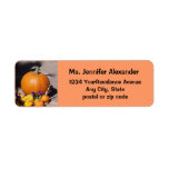 Autumn Harvest Pumpkin Return Address Label