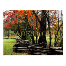Autumn in Cades Cove Postcard