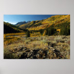 Autumn in Colorado