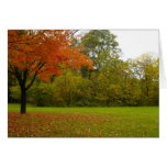 Autumn in Highland Park Greeting Card