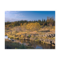 Autumn in Iceland