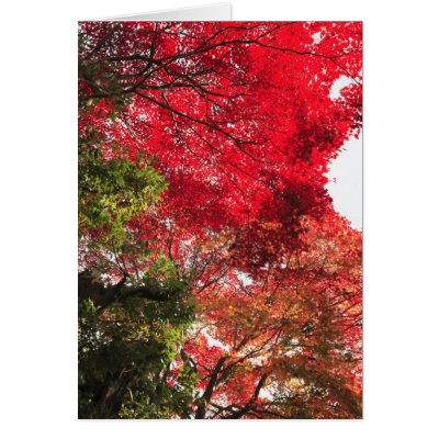 Autumn in Japan Cards by cooljapan