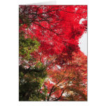 Autumn in Japan Cards