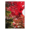 Autumn in Japan cards