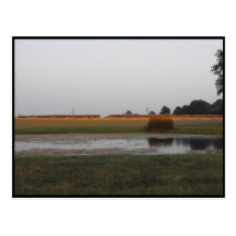 ~ Autumn in Lancaster County ~ 29 Post Card