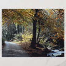 Autumn in Luxulyan Valley at the Cornish Riviera Flyer Design