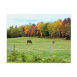Autumn_In_Maine_13 Post Cards