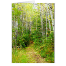 Autumn_In_Maine_14 Greeting Cards