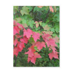 Autumn In Maine Postcards