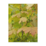 Autumn In Maine Post Cards