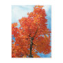 Autumn In Maine Postcard