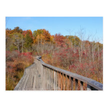 Autumn in New England 17 ~ postcard