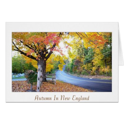 Autumn In New England Card by mob68com