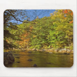 Autumn In New England Mousepad