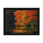 Autumn In New England Thank You Post Cards