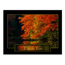 Autumn In New England Thank You Post Cards