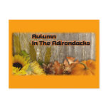 Autumn in the Adirondacks Post Card