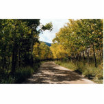 Autumn in the Colorado Mountains, Colorado, U.S.A. Photo Sculptures