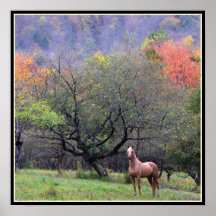 Autumn in the Horse's Orchard Poster