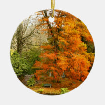 Autumn in the park ornaments