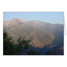 Autumn In the Sequoias Cards