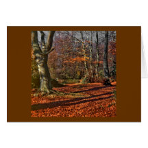 Autumn in the Woods Greeting Card