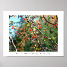 Autumn in Upstate NY Posters