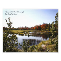 Autumn is a second spring photographic print