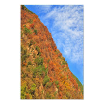 Autumn is here photo print