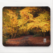 Autumn , Killiney Hill, Dublin Mousepads