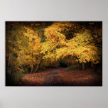 Autumn, Killiney Hill Park, Dublin - Canvas Print