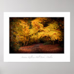 Autumn, Killiney Hill Park, Dublin Posters