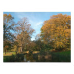 Autumn Landscape, Bute Park, Cardiff