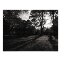 Autumn Landscape Bute Park Cardiff Photographic Print