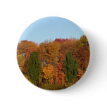 Autumn Landscape