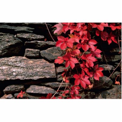Autumn landscape, New England, U.S.A. from the For Photo Cutouts by beautifulclicks