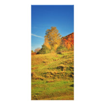 Autumn landscape rack card