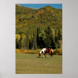 Autumn Landscape with Horse Print