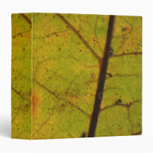 Autumn Leaf Avery Binder
