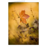 Autumn leaf folded card
